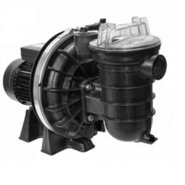 Pompe de filtration piscine Pentair Sta-Rite 5P2R eau douce